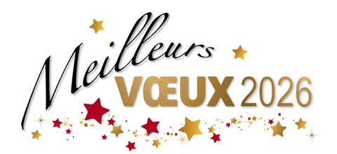 Vœux de nouvel an 2026 de votre cabinet d'expertise-comptable à ORLEANS - SARAN