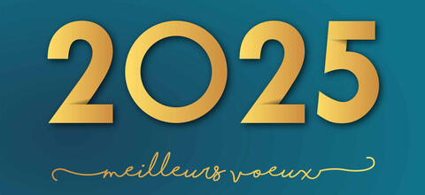 Vœux de nouvel an 2025 de votre cabinet d'expertise comptable à ORLEANS - SARAN